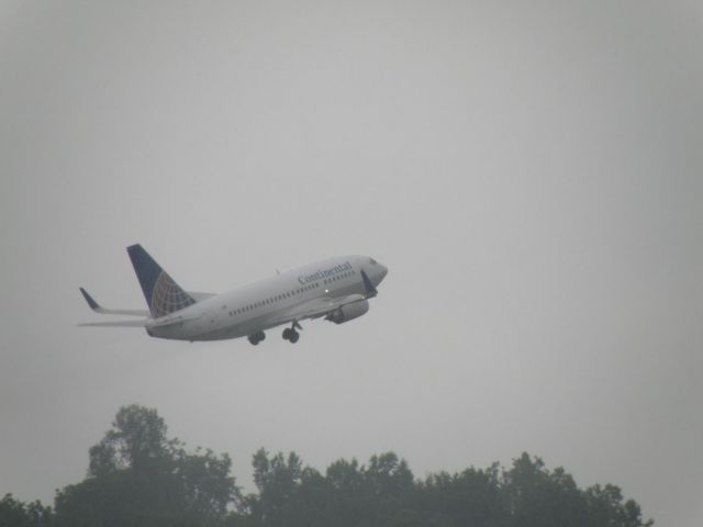 Boeing 737-800 (N14604) - A Continental 737 punches into the drab Central Kentucky overcast in January 2010...