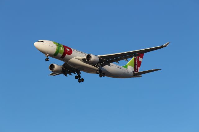 Airbus A330-200 (CS-TOR) - Landing 28C