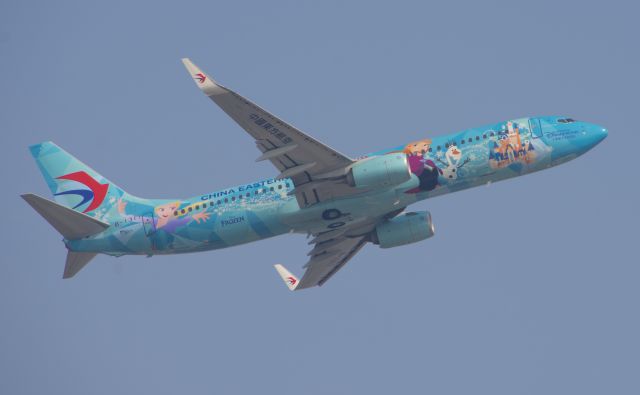 Boeing 737-800 (B-1317) - Frozen Livery 737-800br /Taken from Civil Aviation University Of China