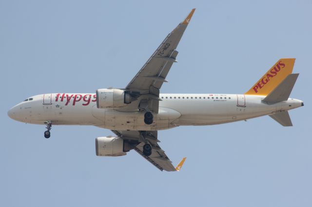 Airbus A320 (TC-NCD)