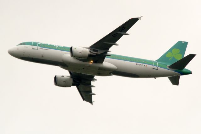 Airbus A320 (EI-DVK)