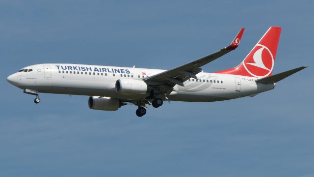 Boeing 737-800 (TC-JZF)