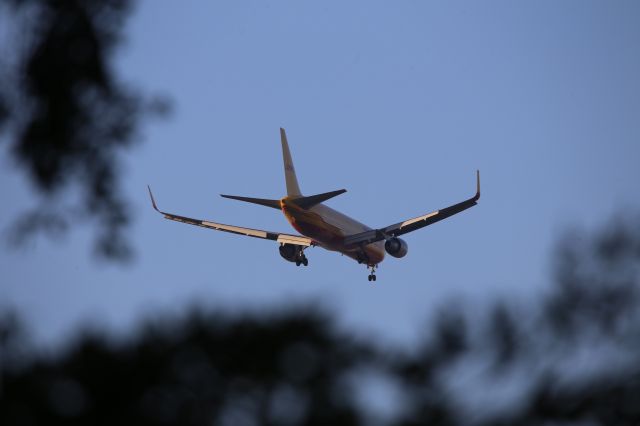 BOEING 767-300 (N739DH)