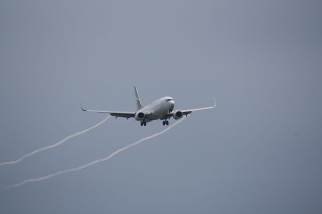 Boeing 737-800 (C-GWSA) - Westjet flight Landing At Lester B.Pearson Intl Airport with water vapor trailing behind aircraft,photo taken July 27/2009
