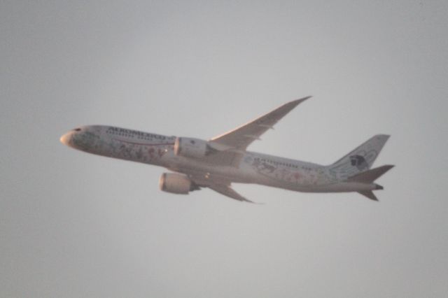 Boeing 787-9 Dreamliner (XA-ADL) - DEPARTURE FROM 27 MMTJ