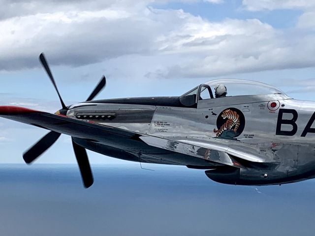 North American P-51 Mustang (N951HB)