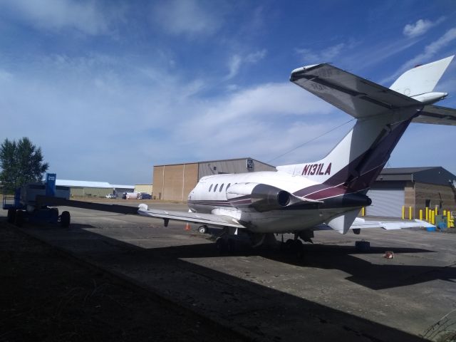 Hawker 800 (N131LA) - Parked at KSLE, looks like it hasn't moved in a long time.