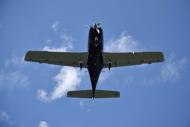 Cessna 350 (N975MC) - 8/27/2016: A Columbia 350 arriving at Dallas Love Field. 