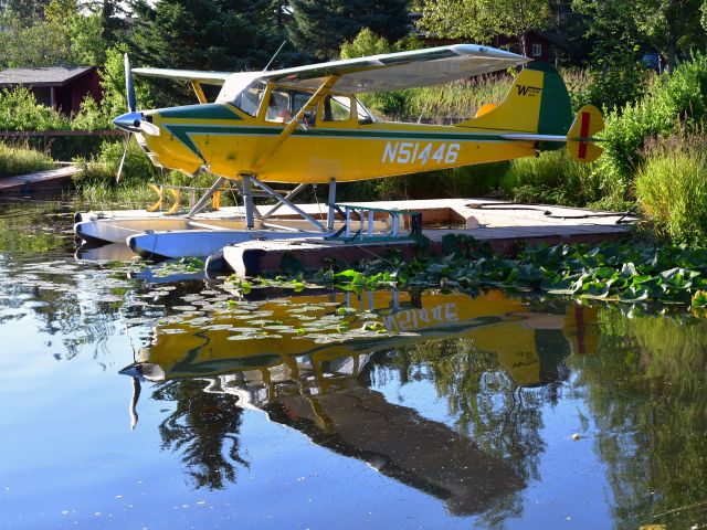 Cessna L-19 Bird Dog (N51446) - Western Data Cessna 305A Bird Dog N51446 in Homer Seaplane Base