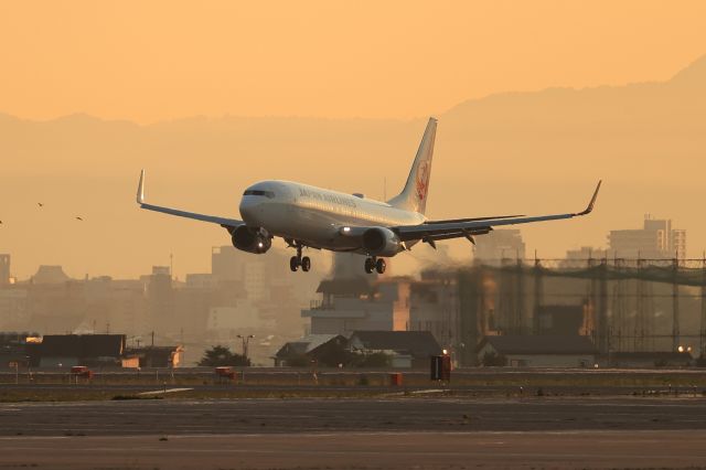 Boeing 737-800 (JA325J) - July 16th 2021:HND-HKD.