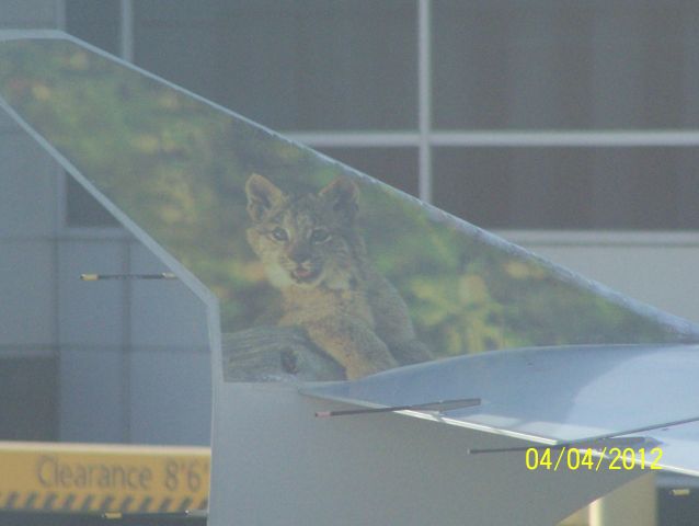 Airbus A319 (N934FR) - Baby tiger Frontier Airlines