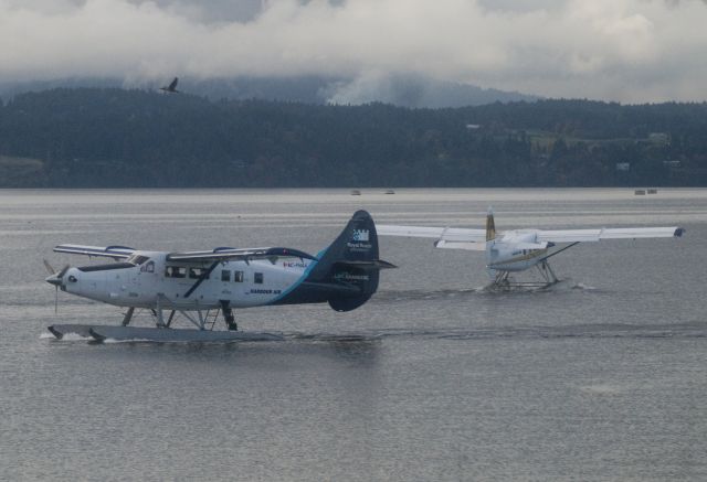 De Havilland Canada DHC-3 Otter (C-FHAA)