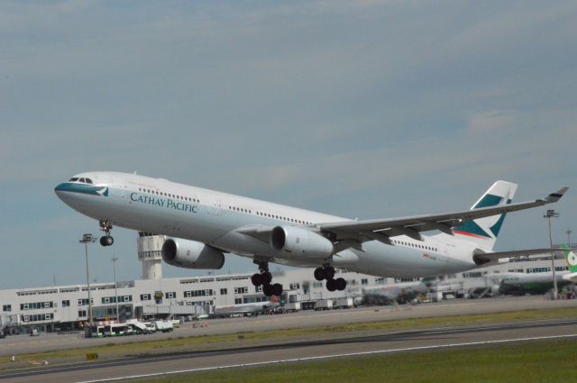 Airbus A330-300 (B-LAI) - 2013.09.13