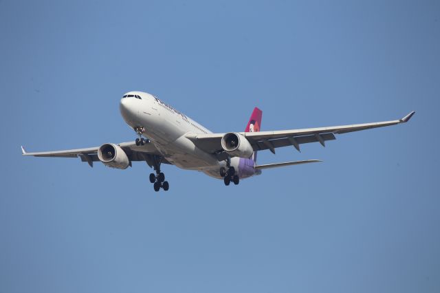 Airbus A330-200 (N393HA)