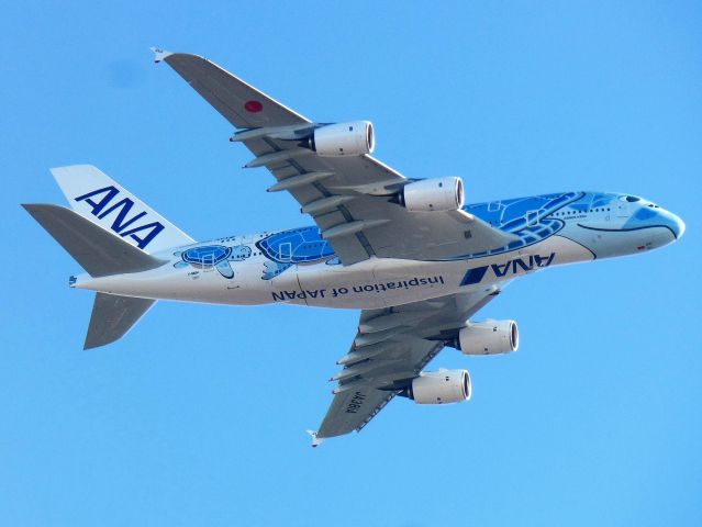 Airbus A380-800 (JA381A)