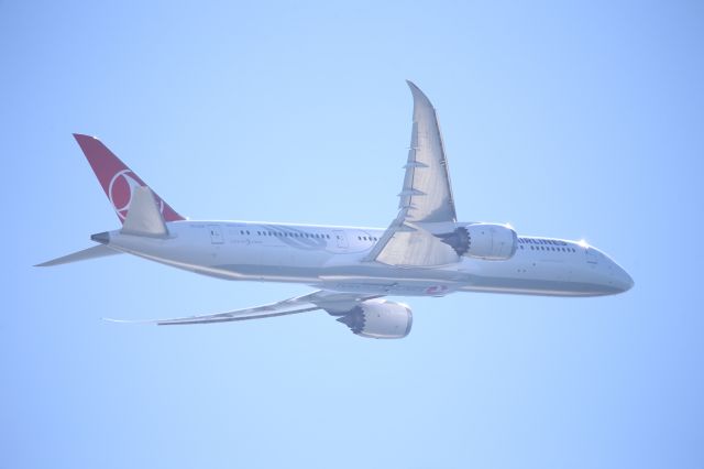 Boeing 787-9 Dreamliner (TC-LLD)