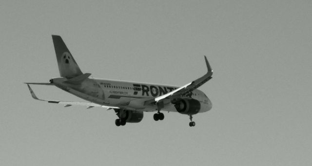 Airbus A320neo (N338FR) - On final is this 2018 Frontier Airlines Airbus 320-251N with "North" the Harp Seal seeing black & white from the Winter of 2021.