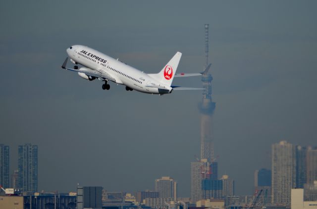 Boeing 737-800 (JA339J)