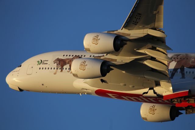 Airbus A380-800 (A6-EOM)