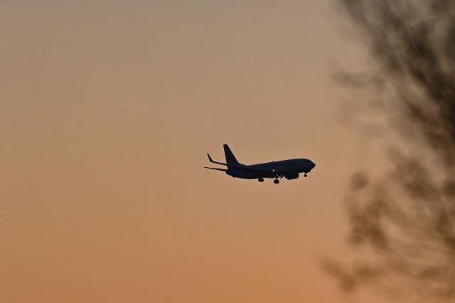 Boeing 737-800 (ZS-SJV)