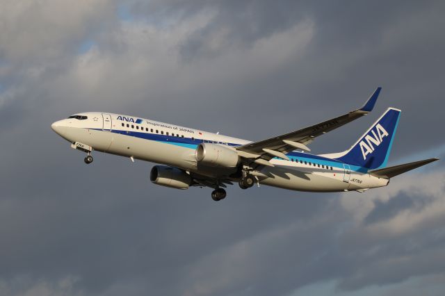 Boeing 737-800 (JA77AN) - 07 January 2017:HKD-HND.