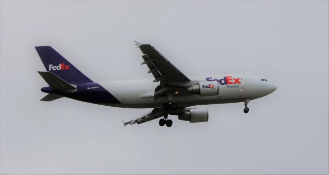 Airbus A310 (N801FD)