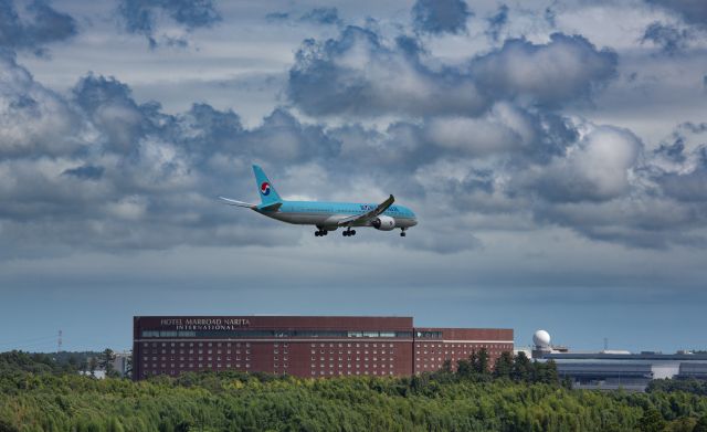 Boeing 787-9 Dreamliner (HL8081)