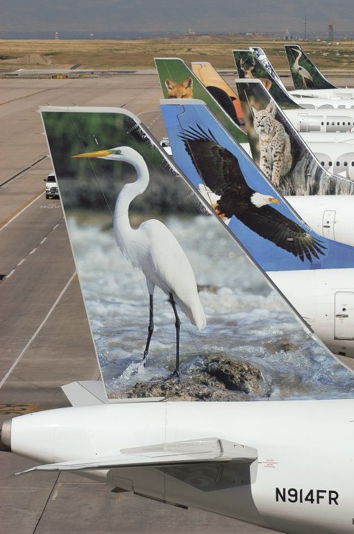 N914FR — - Typical "ZOO" lineup at DEN back in 2003