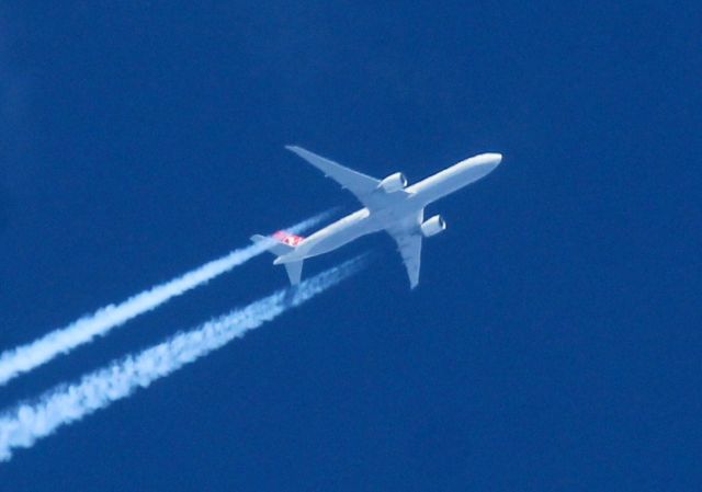 BOEING 777-300 — - KRDD area: taken from the Coleman Ponds Hiking trails, this Turkish B773ER headed to LAX overflying east of Redding,CA It was so quiet out here on the hike that we could faintly hear the sound of the engines on this jet headed south. Hand held manual focus.