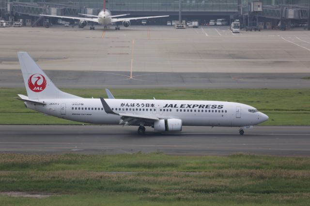 Boeing 737-800 (JA337J)