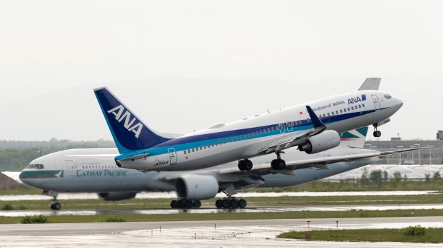 Boeing 737-800 (JA55AN) - 全日空 - All Nippon Airways [NH/ANA] / Boeing 737-881br /Jun.11.2017 New Chitose Airport [CTS/RJCC] JAPAN