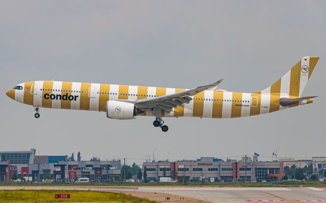 Airbus A330-900 (D-ANRL)