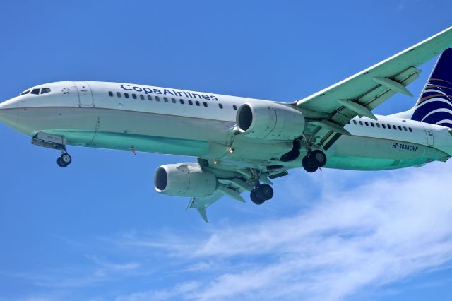 Boeing 737-800 (HP-1838CMP)