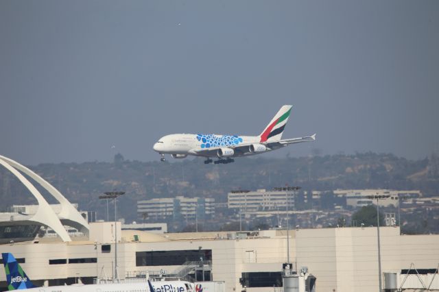 Airbus A380-800 (A6-EOF)