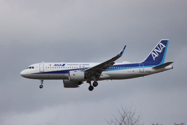 Airbus A320neo (JA222A) - February 23, 2024:HND-HKD.