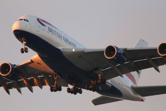 Airbus A380-800 (G-XLEG)