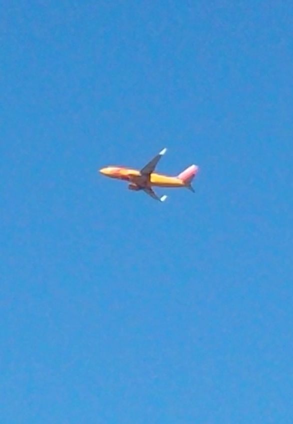 Boeing 737-700 (N781WN) - "New Mexico One" caught me off guard at lunch today