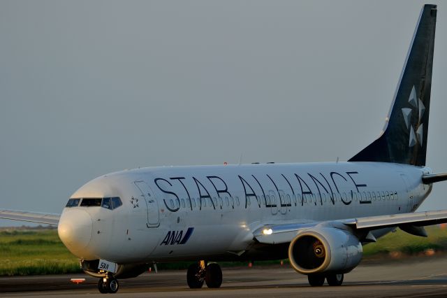Boeing 737-800 (JA51AN)