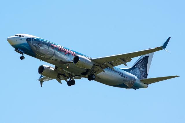 Boeing 737-800 (N559AS) - 04/19/2015 Alaska N559AS B737-8 KDFW - My original upload showed bad colors not sure why, but this one is better.