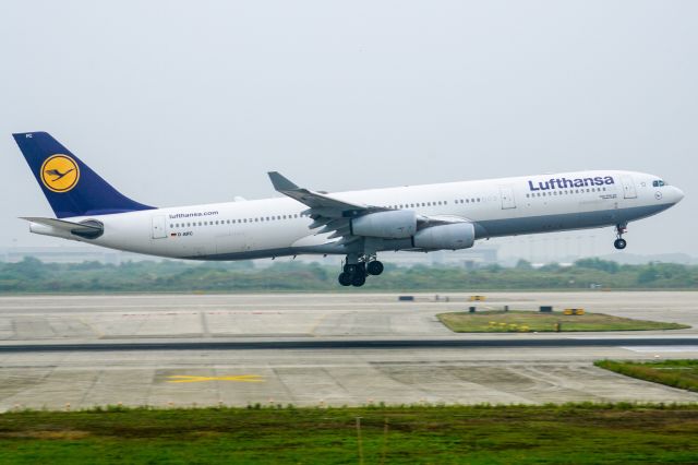 Airbus A340-300 (D-AIFC)