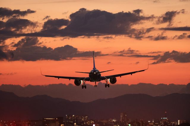 Airbus A320 (JA213A) - August 30th 2021:HND-HKD.