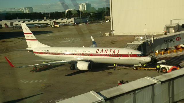 Boeing 737-800 (VH-VXQ) - Retro Roo 2 pictured at gate 2 from the Qantas Business Lounge 