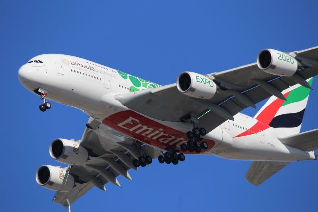 Airbus A380-800 (A6-EOL)