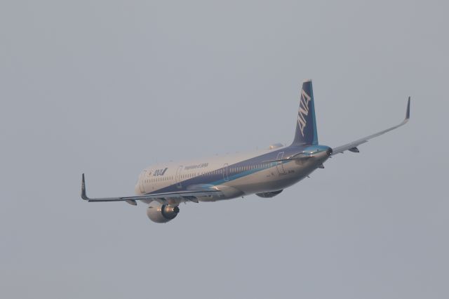 Airbus A321 (JA111A) - 05 December 2016:HKD-HND.