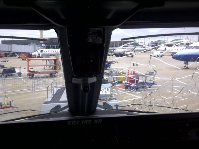 Embraer ERJ-145 — - Windshield Bird Strike