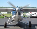 N2185M thumbnail