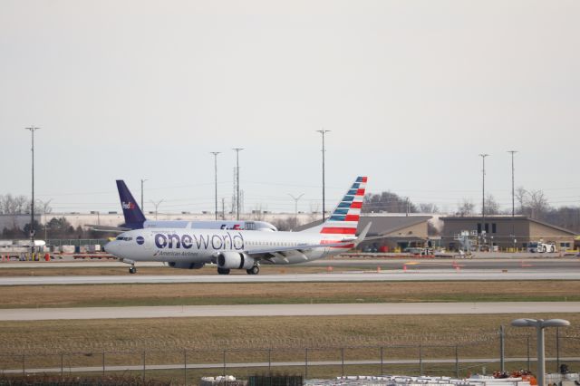 Boeing 737-800 (N837NN) - OneWorld special livery 737.