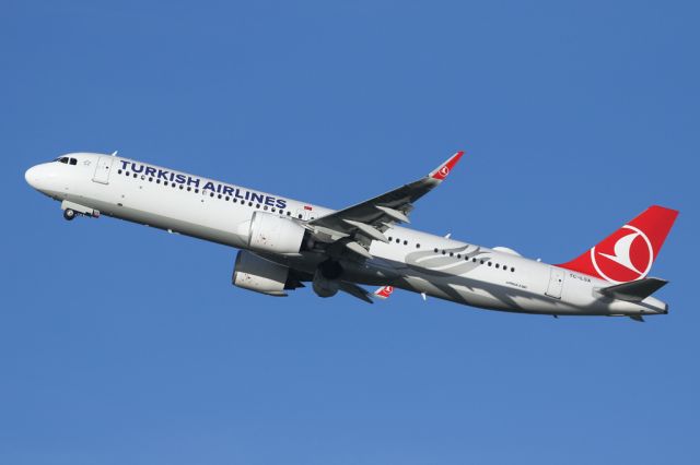 Airbus A321neo (TC-LSA) - TK1996 on the way back to Istanbul