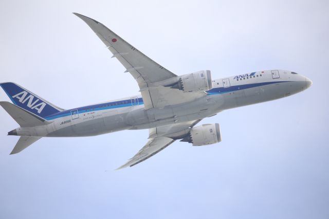 Boeing 787-8 (JA805A)