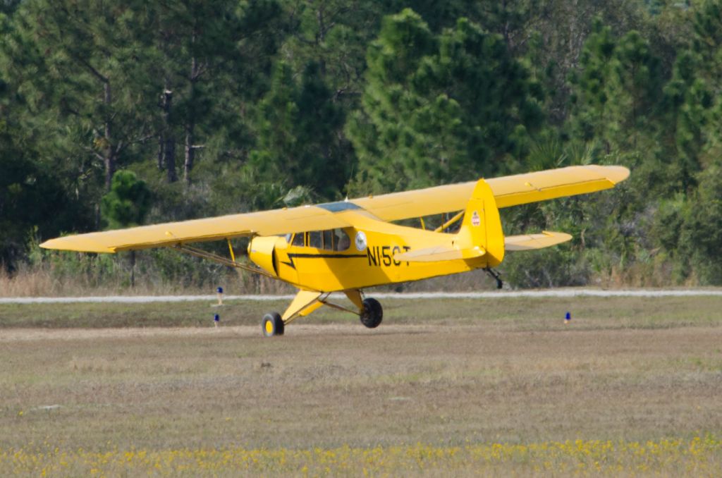 Piper L-21 Super Cub —